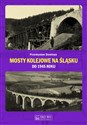 Mosty kolejowe na Śląsku do 1945 roku - Przemysław Dominas