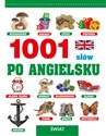 1001 słów po angielsku Świat - Laura Aceti