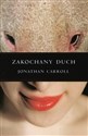 Zakochany duch - Jonathan Carroll