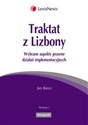 Traktat z Lizbony Wybrane aspekty prawne działań implementacyjnych