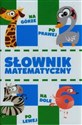 Słownik matematyczny - Halina Juraszczyk, Jolanta Biernat