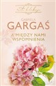 A między nami wspomnienia - Gabriela Gargaś