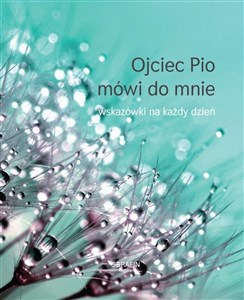 Ojciec Pio mówi do mnie Wskazówki na każdy dzień