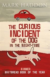 The Curious Incident of the Dog In the Night
