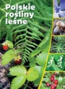 Polskie rośliny leśne