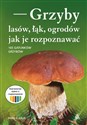 Grzyby lasów, łąk i ogrodów - jak je rozpoznawać 165 grzybów