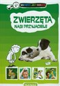 Zwierzęta nasi przyjaciele Wszystko jest ciekawe - Aleksandra Zduńska