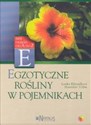 Egzotyczne rośliny w pojemnikach