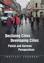 Declining Cities Developing Cities Polish and German Perspectives - Marek Nowak, Michał Nowosielski