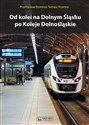 Od kolei na Dolnym Śląsku po Koleje Dolnośląskie - Przemysław Dominas, Tomasz Przerwa