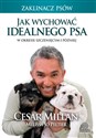 Jak wychować idealnego psa W okresie szczenięcym i później - Cesar Millan, Peltier Melissa Jo