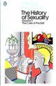 The History of Sexuality Volume 3 The Care of the Self