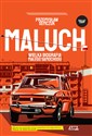 Maluch. Wielka biografia małego samochodu 