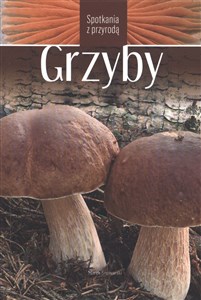 Grzyby