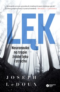 Lęk Neuronauka na tropie źródeł lęku i strachu