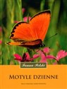 Motyle dzienne - Marcin Sielezniew, Izabela Dziekańska