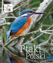 Ptaki Polski Tom 1 - Andrzej G. Kruszewicz