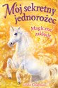 Magiczne zaklęcie (tom 1)