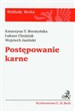 Postępowanie karne - Katarzyna T. Boratyńska, Łukasz Chojniak, Wojciech Jasiński