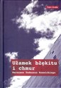 Ułamek błękitu i chmur Warszawa Tadeusza Konwickiego - Opracowanie Zbiorowe