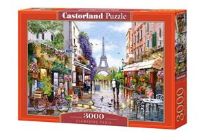 Puzzle 3000 Flowering Paris