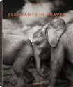 Elephants in Heaven 