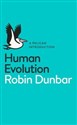 Human Evolution