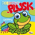 Kolorowy plusk Jezioro - Mirosława Kwiecińska