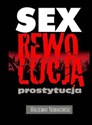 Sex rewolucja prostytucja - Waldemar Nowakowski