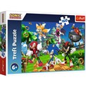 Puzzle Sonic i przyjaciele 160