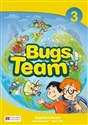 Bugs Team 3 Story Cards 