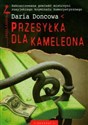 Przesyłka dla kameleona