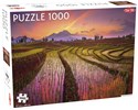 Puzzle Fields in Indonesia 1000