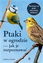 Ptaki w ogrodzie - jak je rozpoznawać - Daniela Strauß