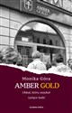 Amber Gold Układ, który oszukał tysiące ludzi