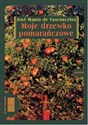 [Audiobook] Moje drzewko pomarańczowe - Jose Mauro Vasconcelos