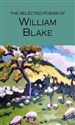 Selected Poems of William Blake - William Blake