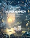 Przygody w Dolinie Muminków - Amanda Li