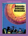 Antresolka profesorka Nerwosolka