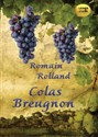 [Audiobook] Colas Breugnon