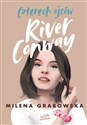 Czterech ojców River Conway - Milena Grabowska