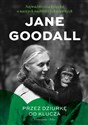 Przez dziurkę od klucza Najważniejsza książka o naszych najbliższych krewnych - Jane Goodall