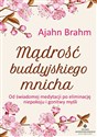 Mądrość buddyjskiego mnicha Od świadomej medytacji po eliminację niepokoju i gonitwy myśli