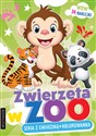 Zwierzęta w ZOO  - Opracowanie zbiorowe