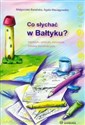 Co słychać w Bałtyku? wierszyki, szlaczki, ćwiczenia, zabawy konstrukcyjne - Małgorzata Barańska, Agata Maciągowska