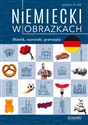 Niemiecki w obrazkach Słownik, rozmówki, gramatyka. Poziom A1-A2 - Magdalena Piotrowska