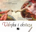 [Audiobook] Udręka i ekstaza