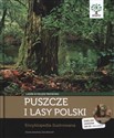 Puszcze i lasy Polski z płytą CD Encyklopedia ilustrowana - Ewa Kwiecień, Dorota Zawadzka