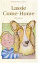 Lassie Come-Home