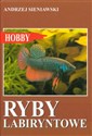 Ryby labiryntowe - Andrzej Sieniawski
